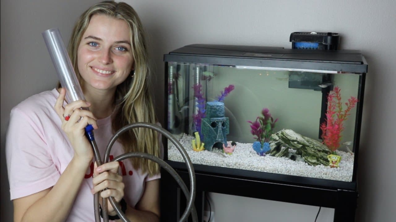 How to Clean a Fish Tank: 8-Step Aquarium Cleaning Guide