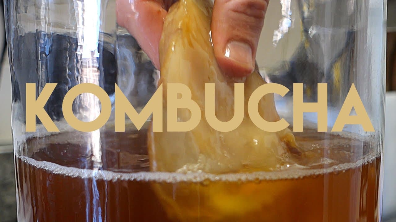 Beginners Guide to Kombucha Making