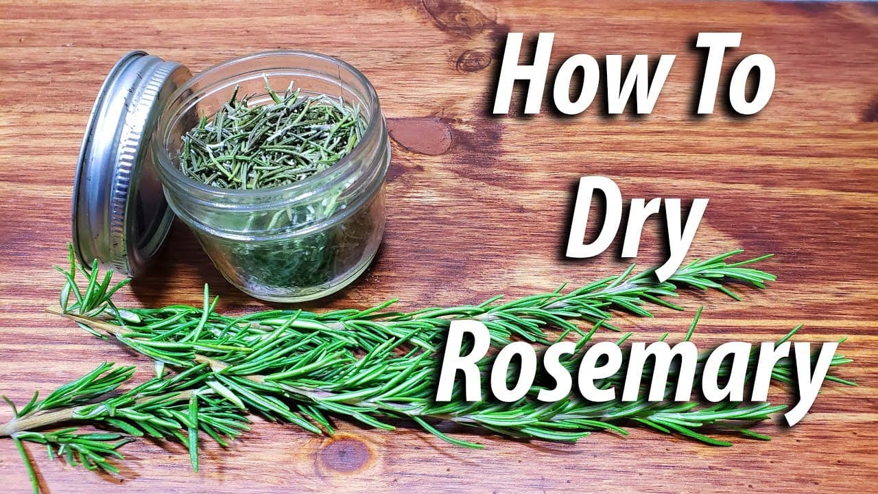 How to Dry Rosemary - 4 Methods That Actually Work
