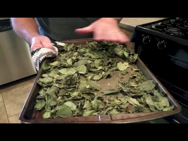 How to Dry Basil at Home