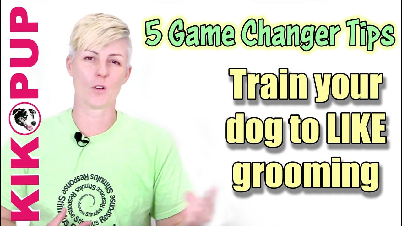 How to Get a Dog Used to Nail Trimming: 7 Step Desensitization Guide