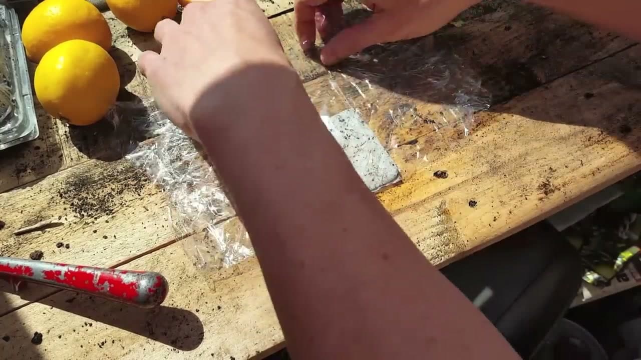 Step 4: Step 4: Seal Them Up to Sprout