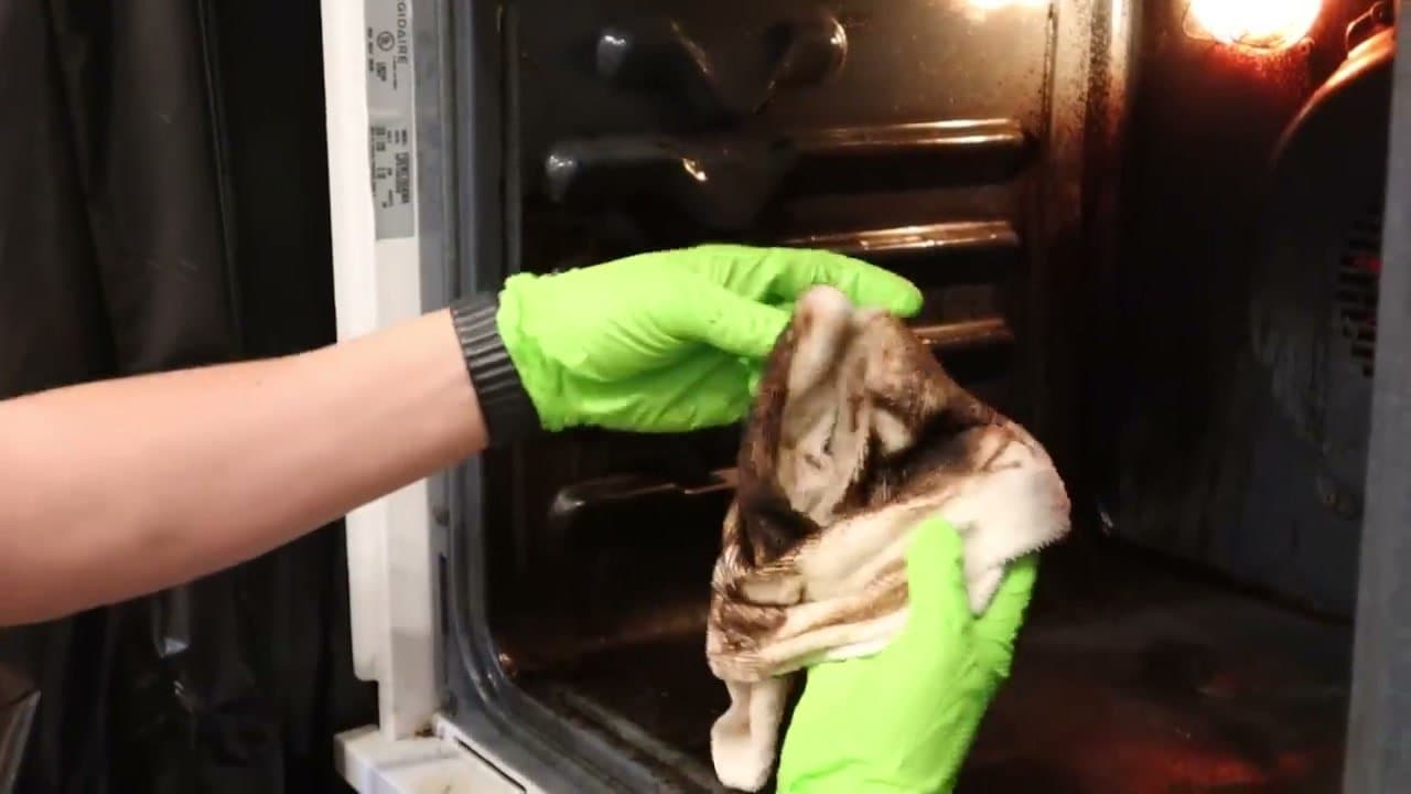 Step 5: Step 5: Scrub and wipe out the loosened grease