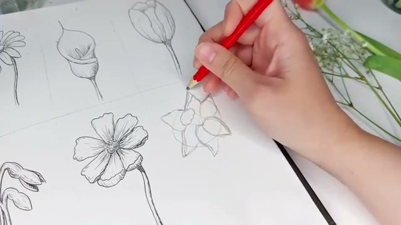Step 7: Step 7: Draw a daffodil