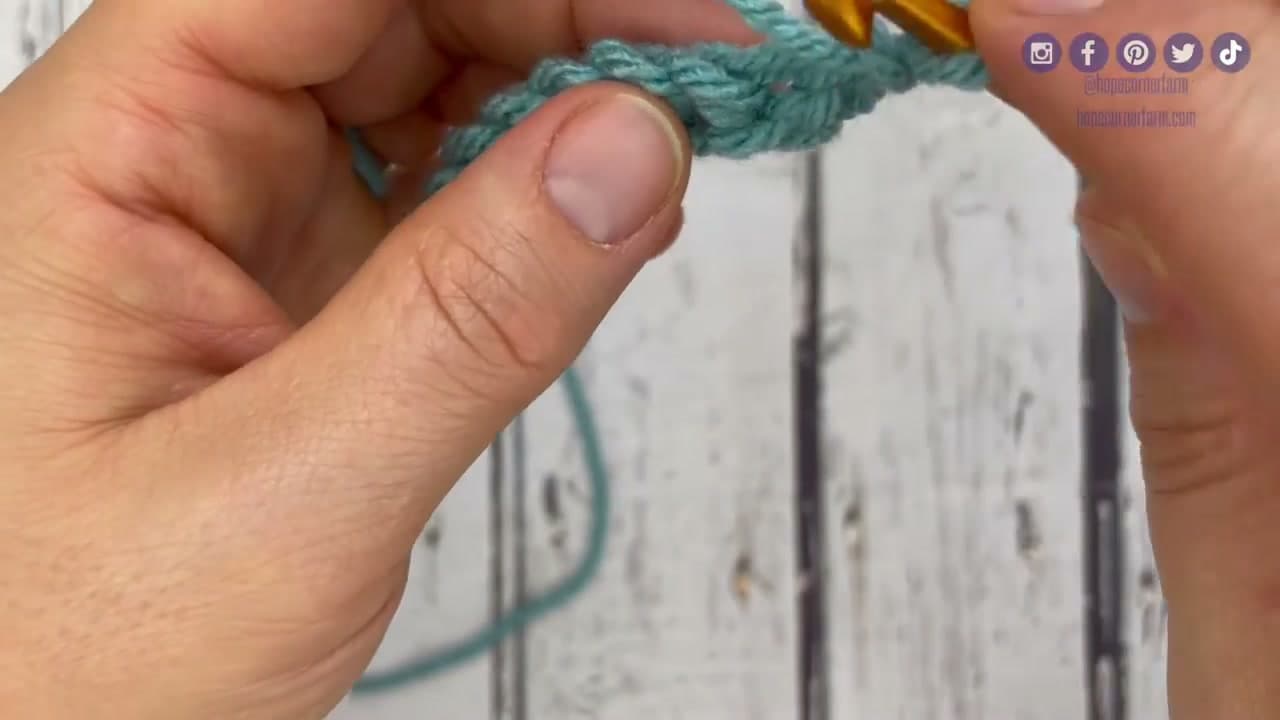 Step 3: Step 3: Insert the Hook Into the First Stitch