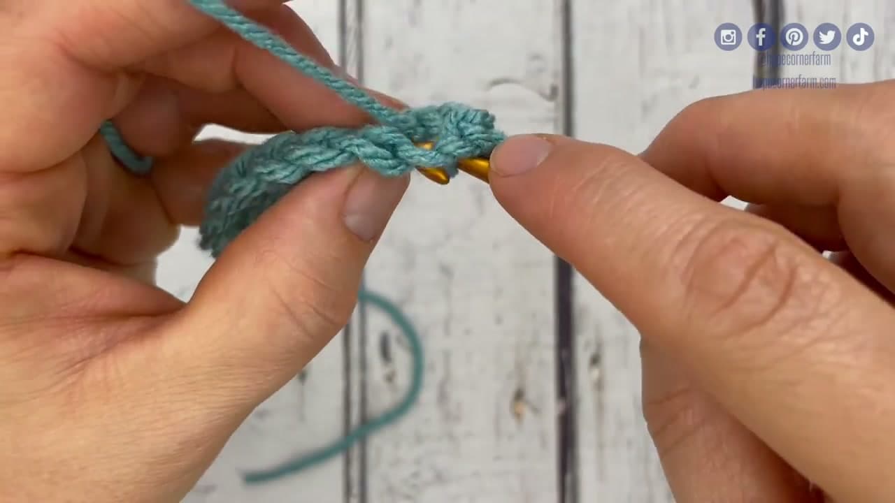 Step 4: Step 4: Yarn Over and Pull Through the Stitch