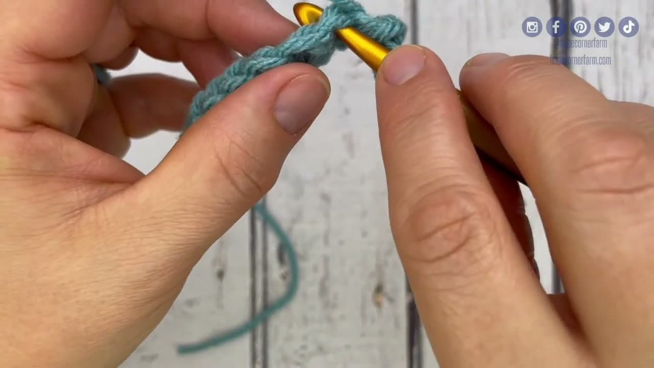 Step 5: Step 5: Pull Through Both Loops in One Move