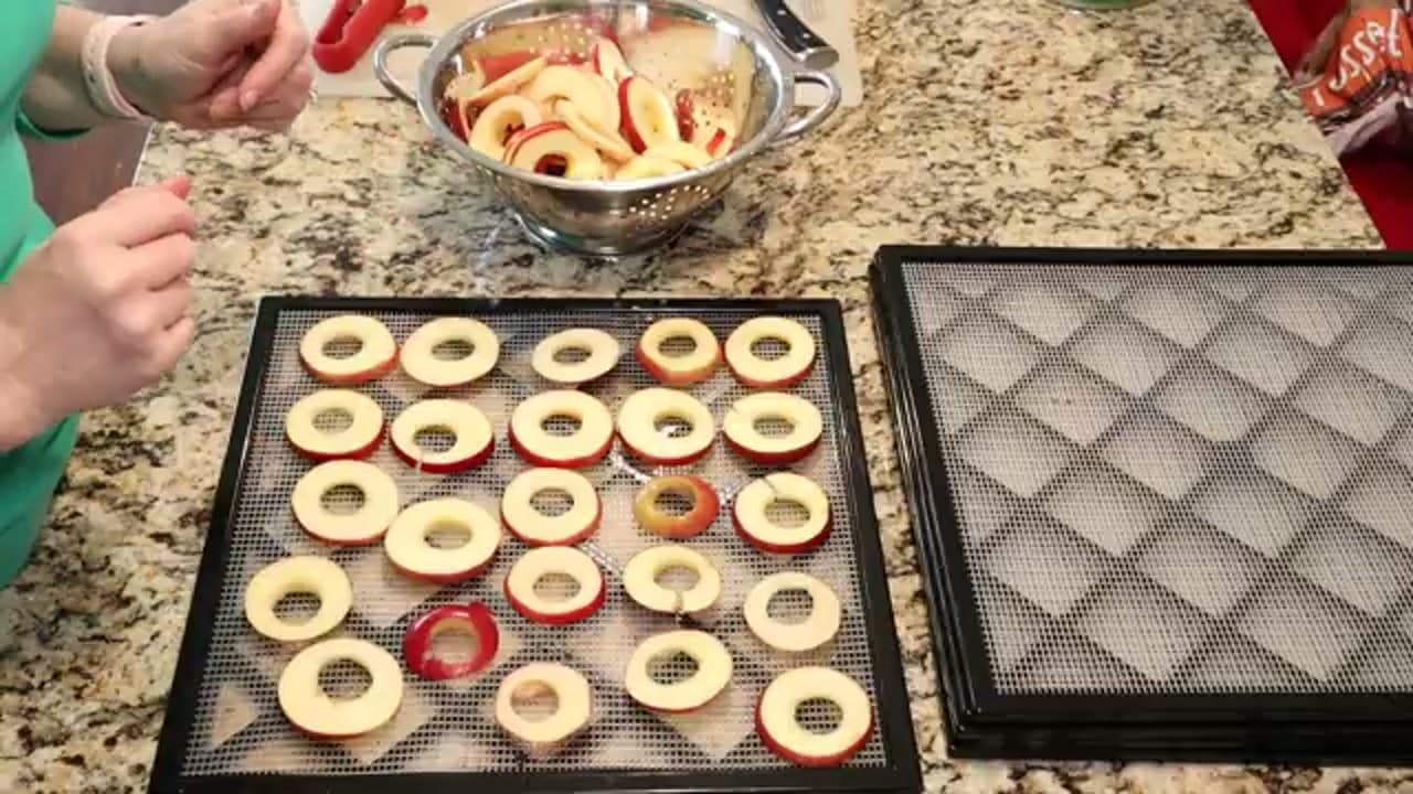 Step 4: Arrange the Rings on the Trays