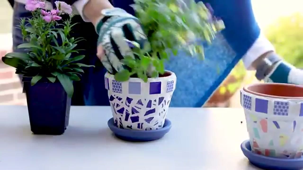 Step 8: Step 8: Cure, Seal, and Plant