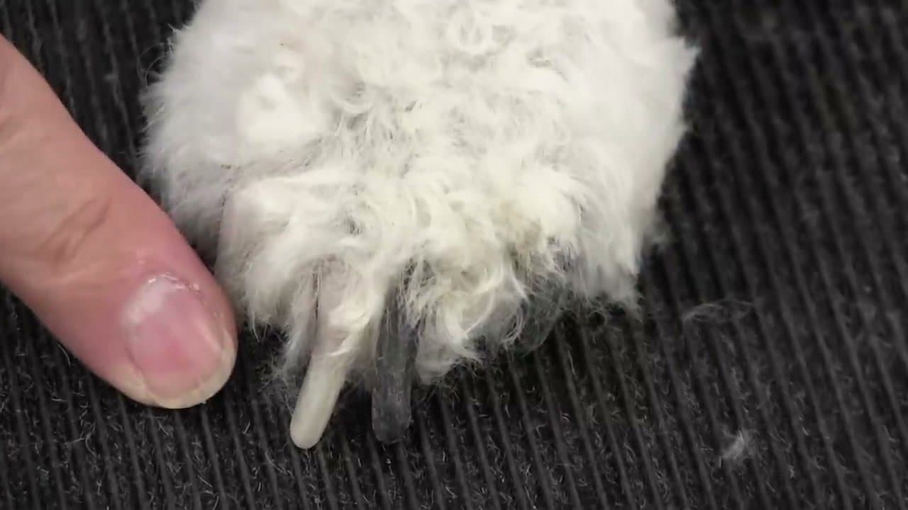 Step 1: Step 1: Find a Clear Nail to Use as a Reference