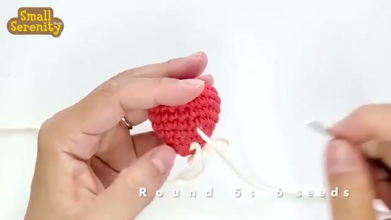 Step 6: Step 6: Embroider the Cream Seeds in Staggered Rows