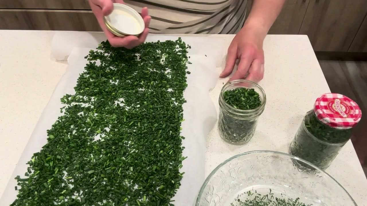 How to Dry Chives (Plus Freezing for Long-Term Storage)