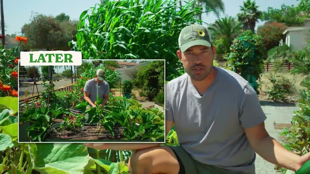 Step 1: Step 1: Set Up the Stake Before You Plant