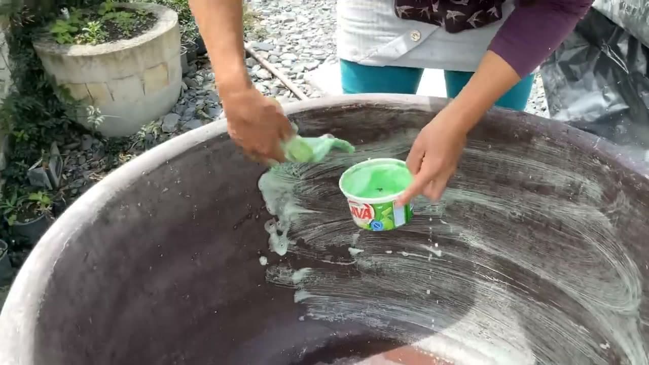 Step 2: Step 2: Soap Up the Plastic Container Mold
