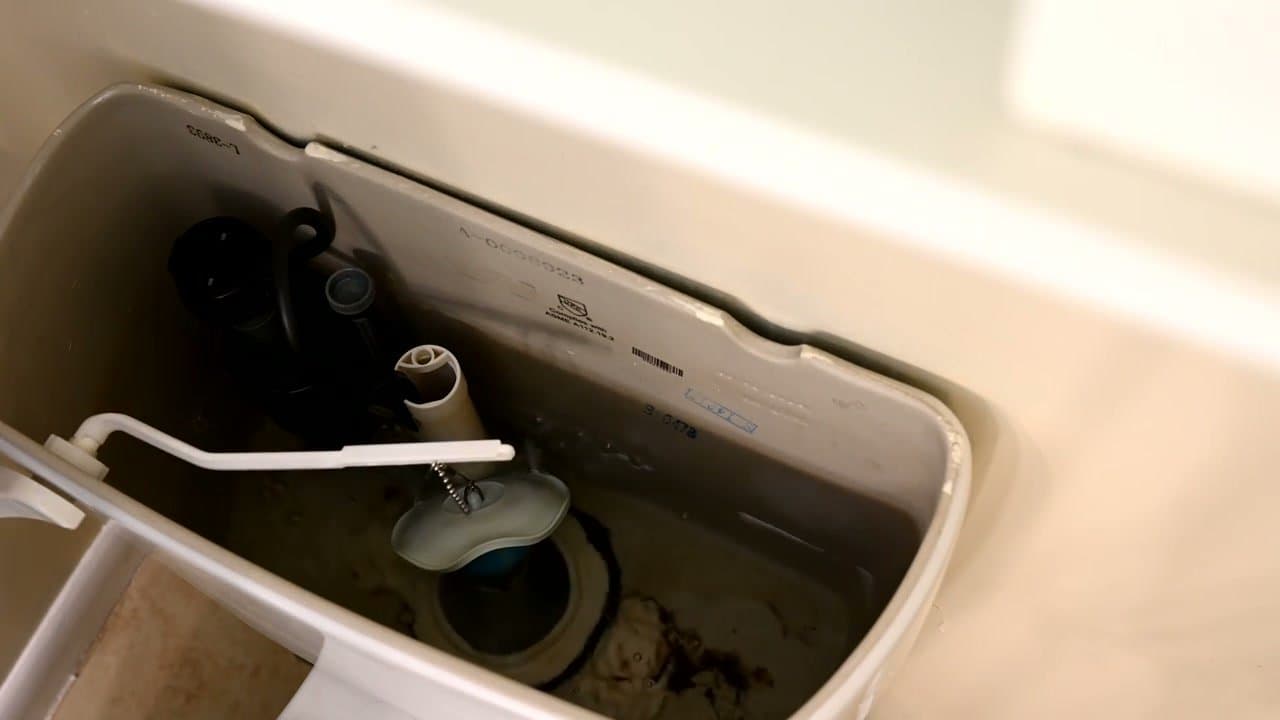 Step 2: Step 2: Flush the toilet to drain the tank
