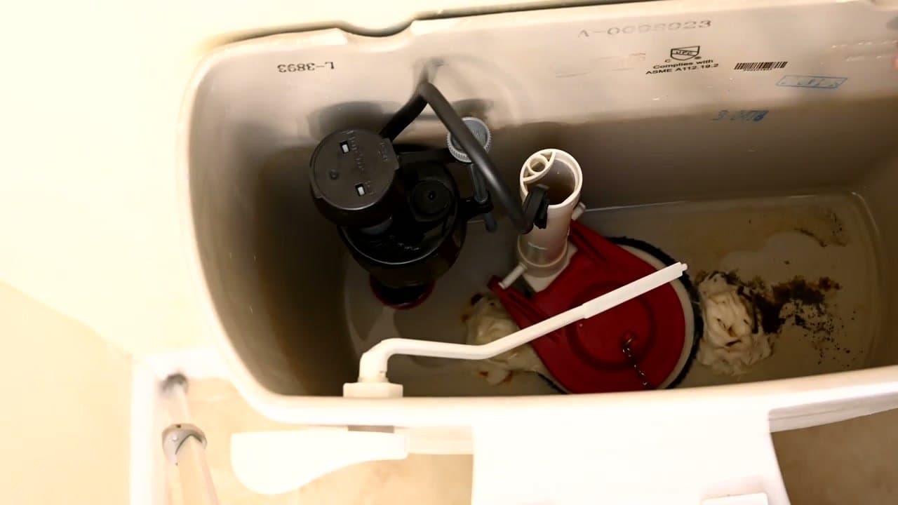 Step 5: Step 5: Hook the new flapper onto the flush valve pegs