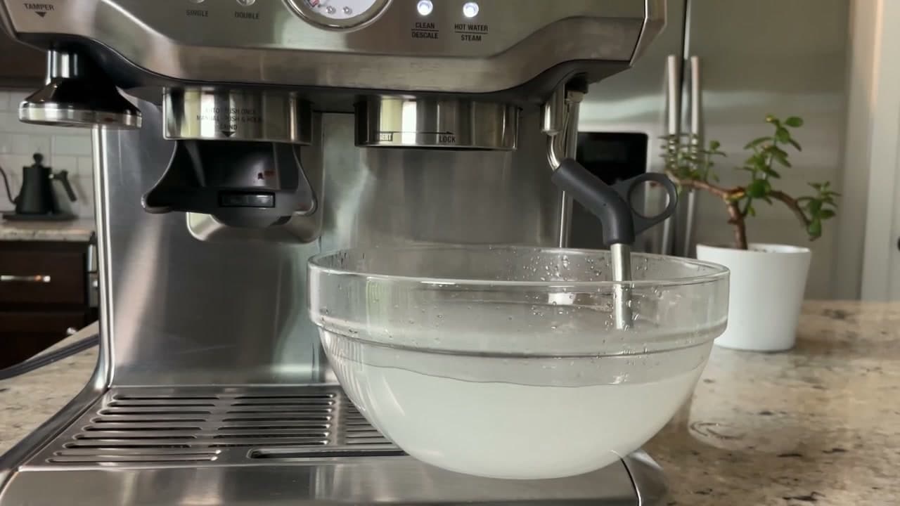 The finished result: How to Clean and Descale an Espresso Machine