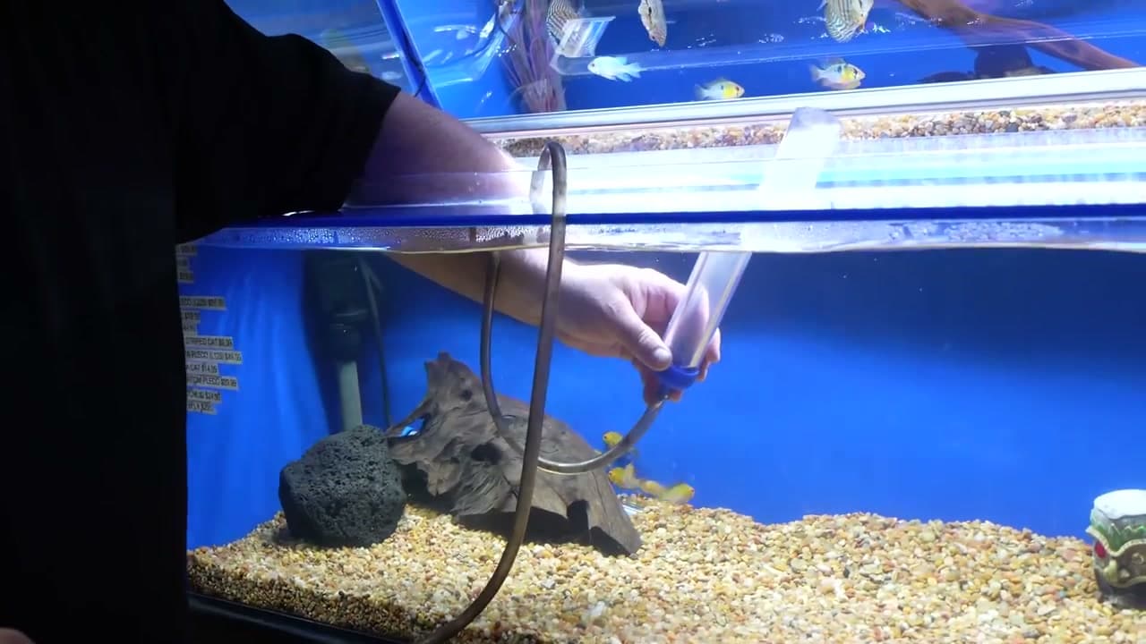 Step 1: Step 1: Get a Siphon Vacuum and Bucket