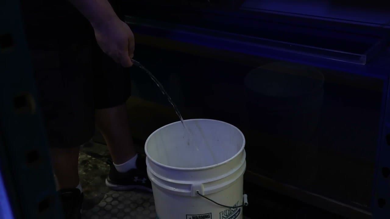 Step 3: Step 3: Start the Siphon
