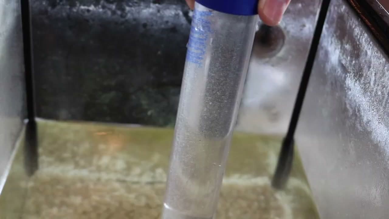 Step 4: Step 4: Vacuum the Gravel