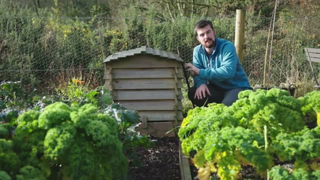 Step 1: Set Up Your Compost Bin