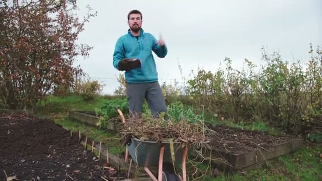 Step 7: Harvest the Finished Compost