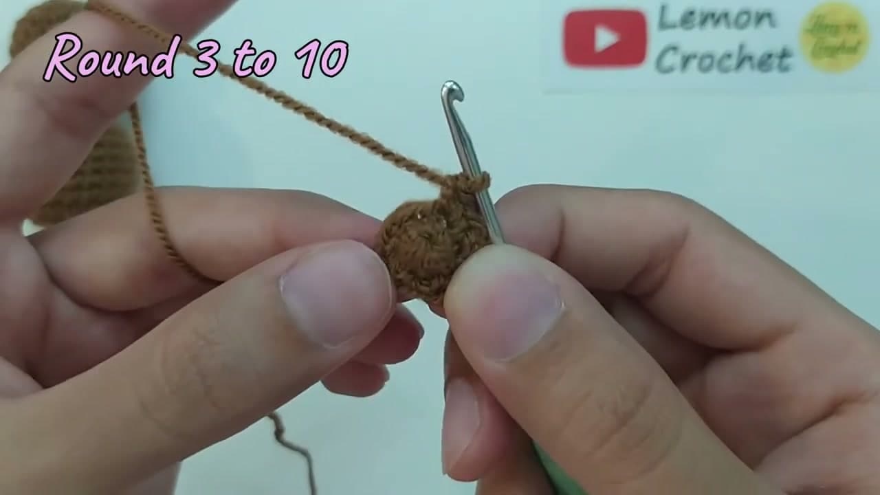 Step 5: Step 5: Crochet the Four Limbs
