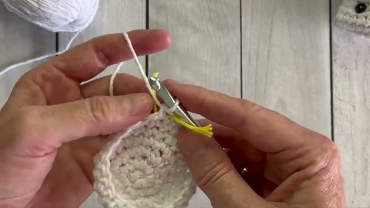 Step 3: Step 3: Continue Increasing to 24 Stitches, Then Work Even