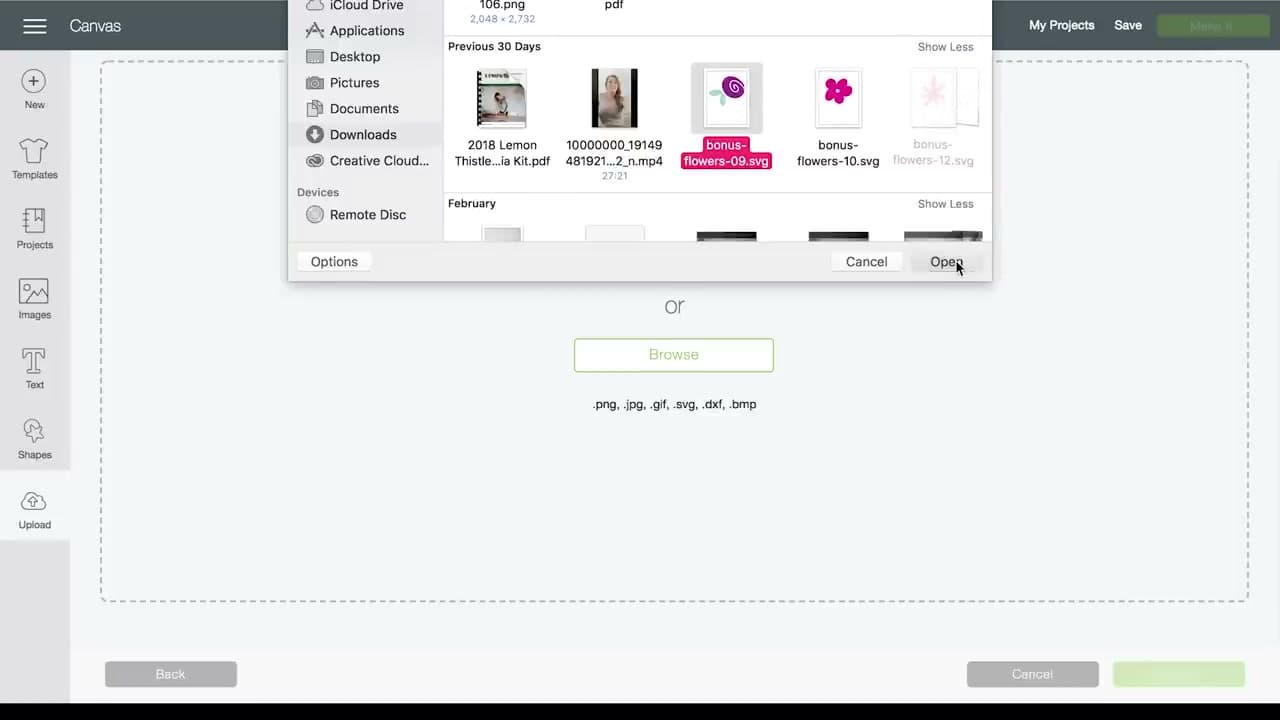 Step 4: Step 4: Browse to Your SVG File and Insert It