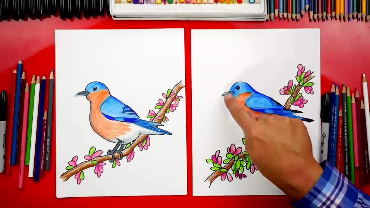 Step 9: Step 9: Color the bluebird, belly, and branch