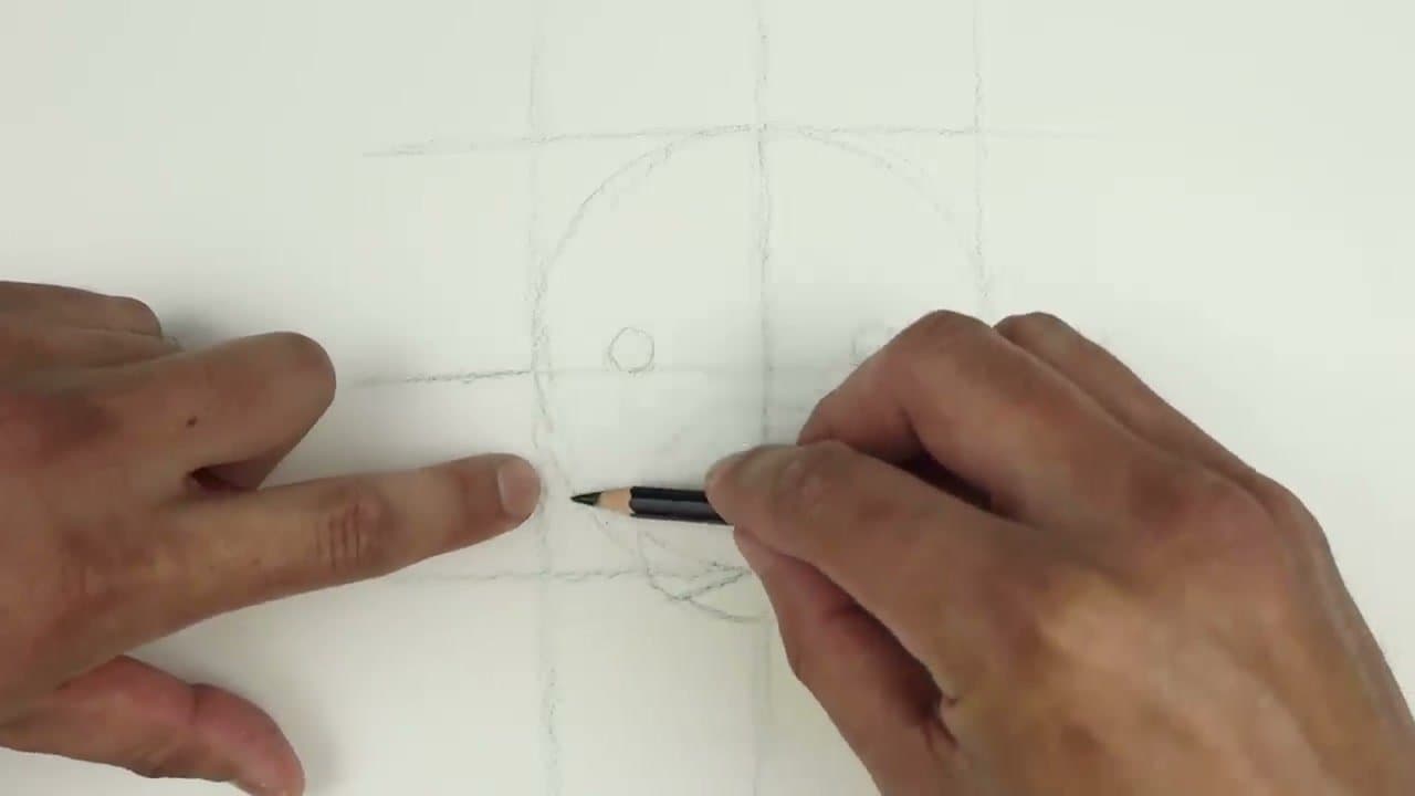 Step 4: Step 4: Draw the Muzzle Sides and Start the Body
