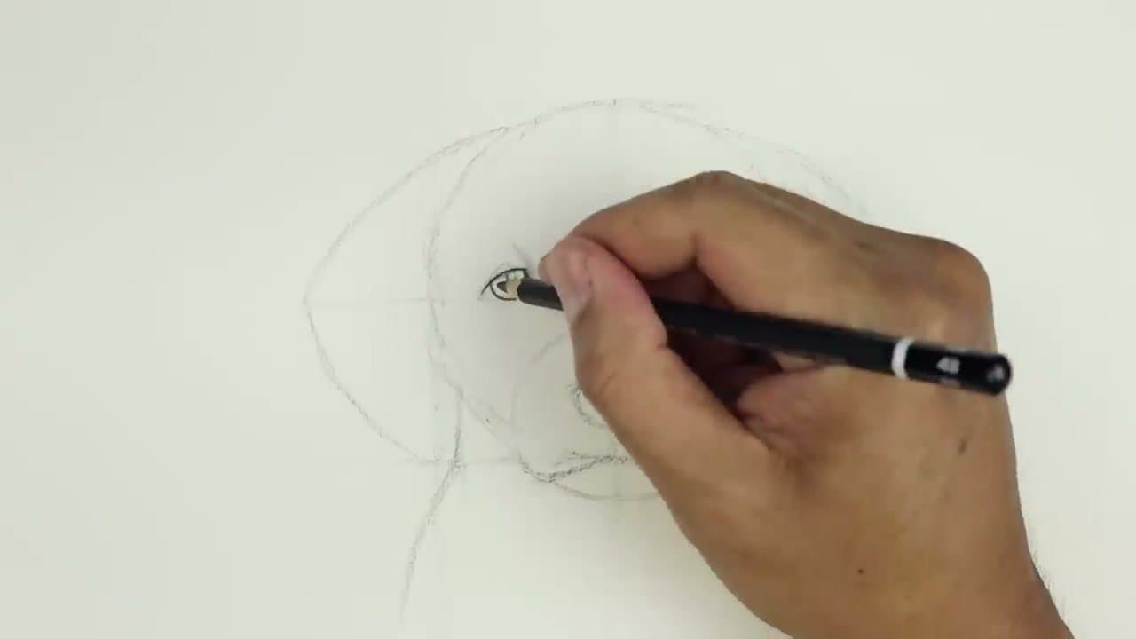 Step 6: Step 6: Erase Guidelines and Detail the Eyes