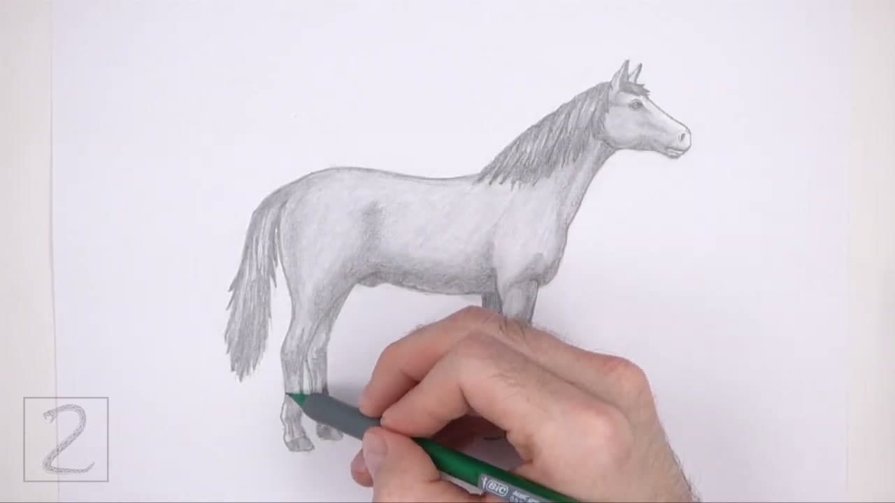 Step 7: Step 7: Shade With a Graphite Pencil