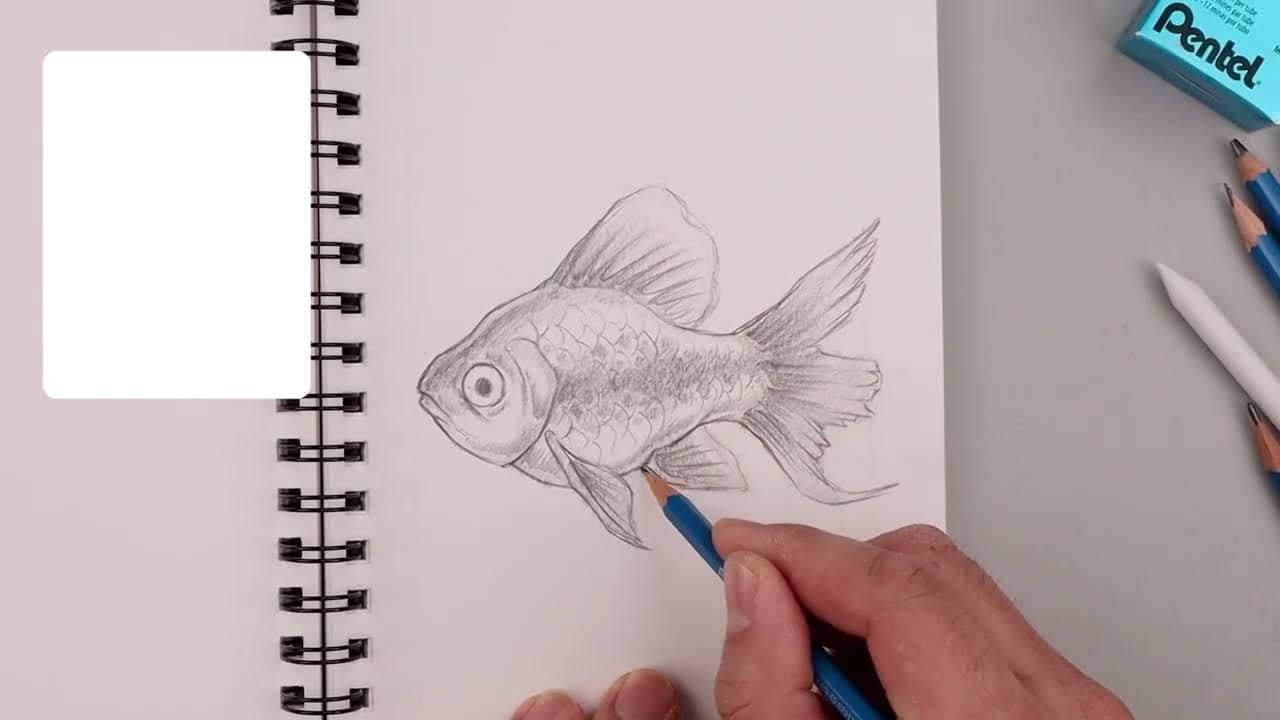 Step 7: Step 7: Shade and Finish the Goldfish