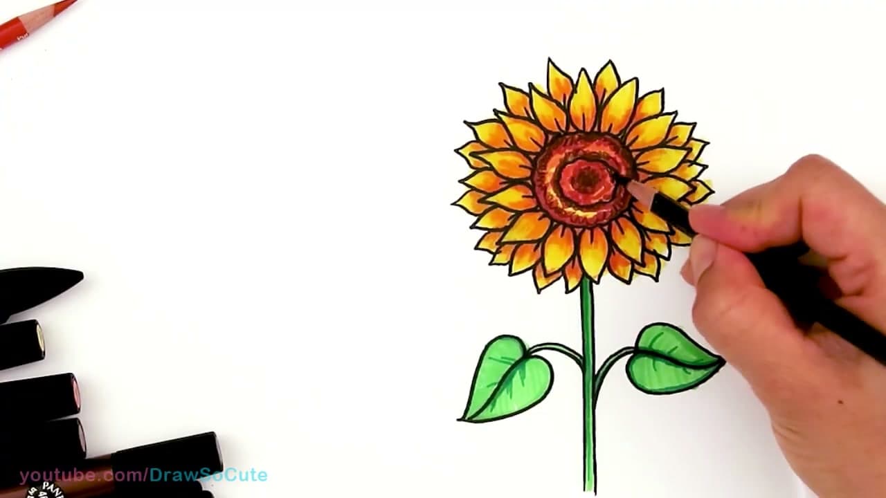 How to Draw a Sunflower: Easy & Realistic Step by Step