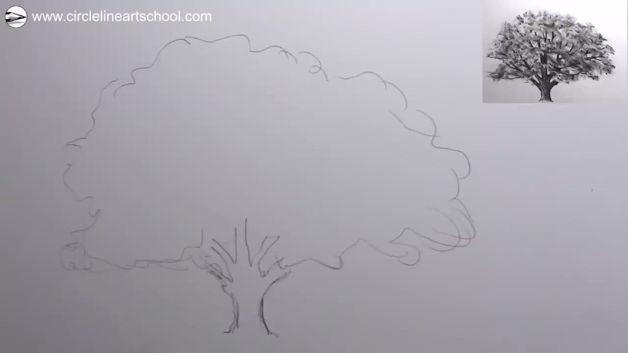 Step 1: Sketch the Basic Shape of the Tree