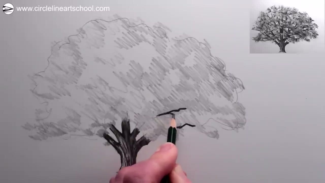 Step 5: Draw Branches Breaking Through the Leaves