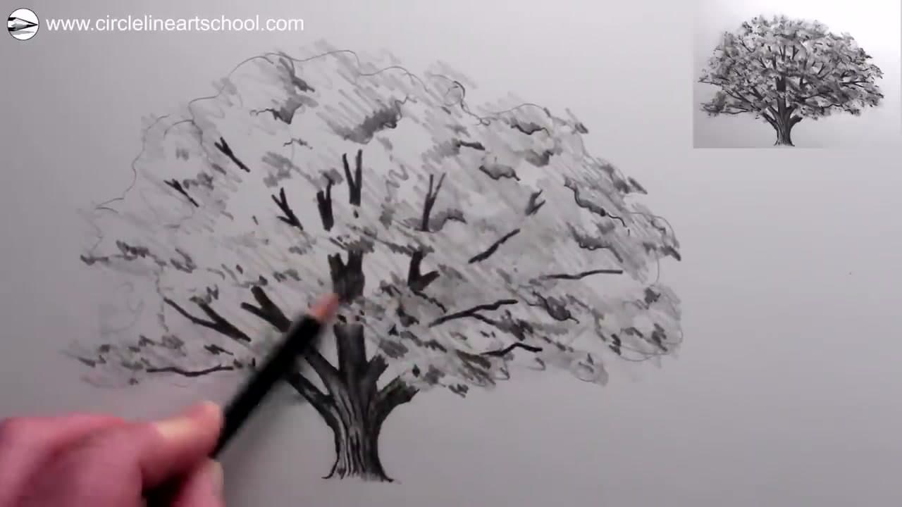 Step 6: Soften with the Flat Pencil, Then Pick Out Darks