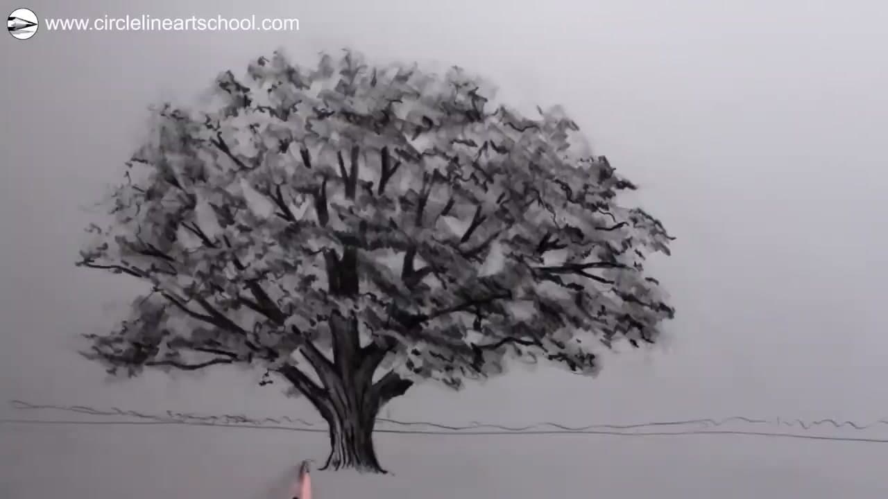 How to Draw a Tree: Step by Step