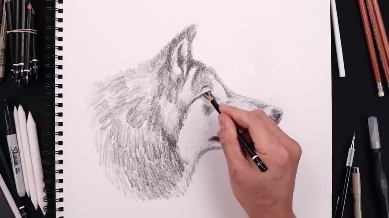 Step 10: Step 10: Build Fur Texture and Final Contrast