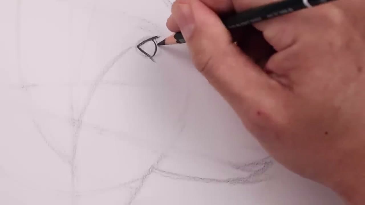 Step 6: Step 6: Refine the Eye and Side-of-Head Folds