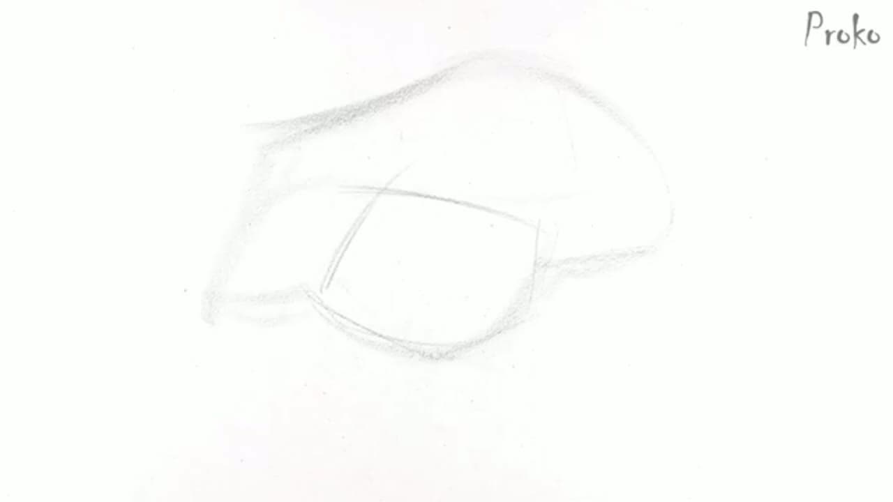 Step 1: Step 1: Lay In the Socket and Brow Angles