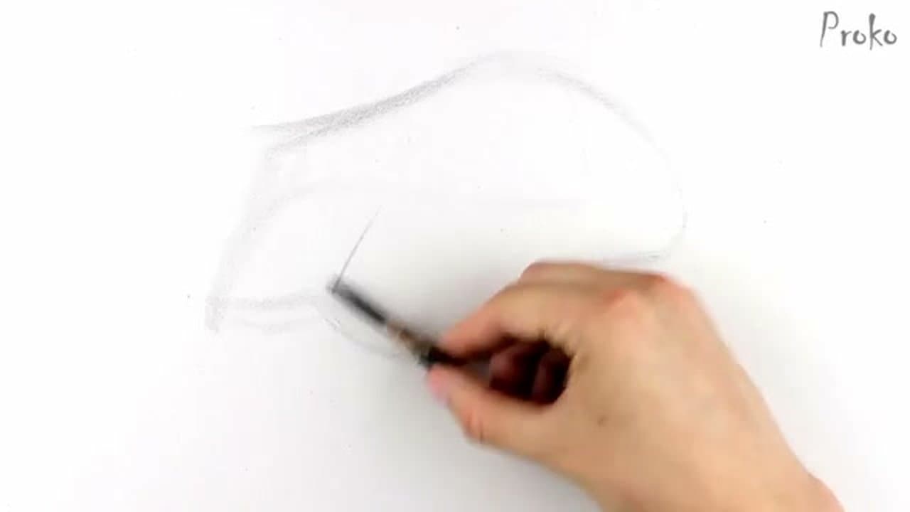 Step 2: Step 2: Sketch the Almond Shape (Lids + Sclera + Iris as One Mass)
