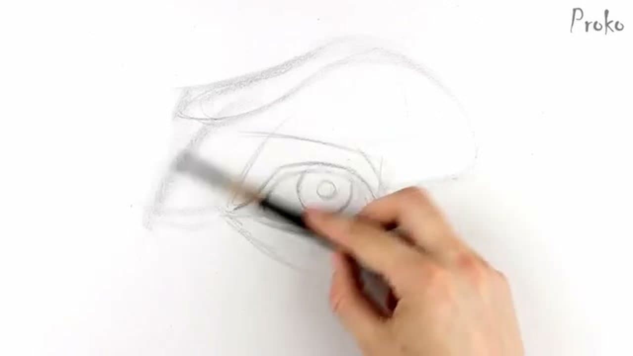 Step 4: Step 4: Place the Iris Tucked Under the Top Lid