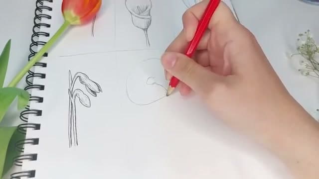 Step 5: Step 5: Draw snowdrops