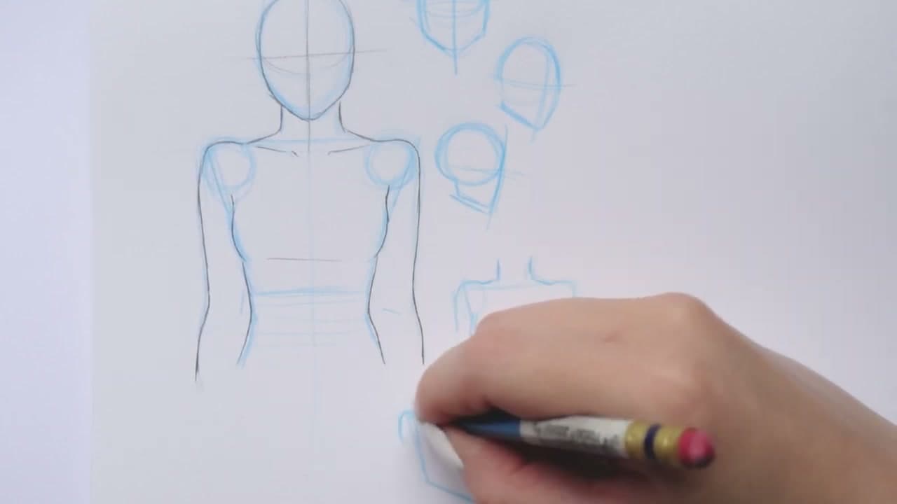 Step 3: Step 3: Refine the Torso and Add the Bust Line