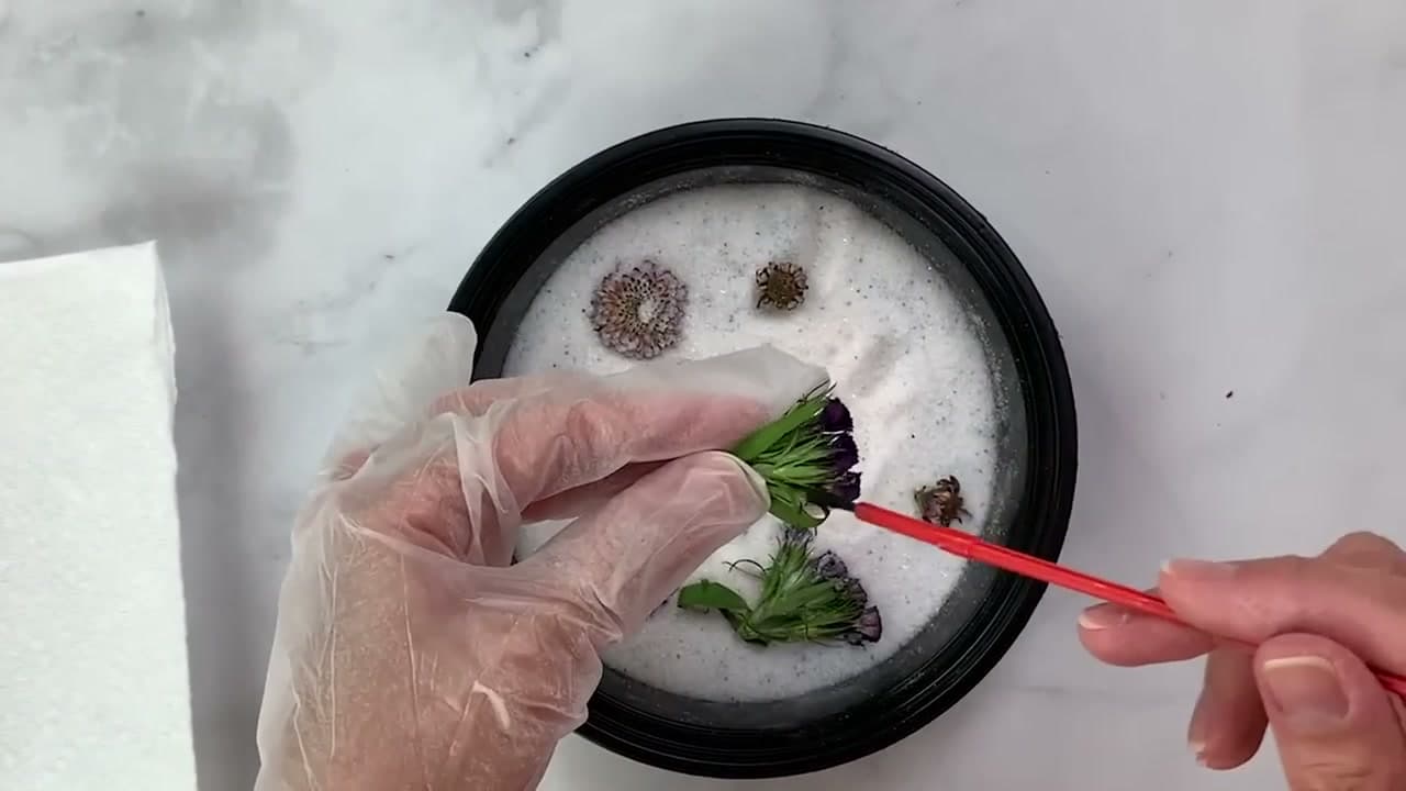 Step 7: Step 7: Compare the Five Methods and Pick Your Favorite