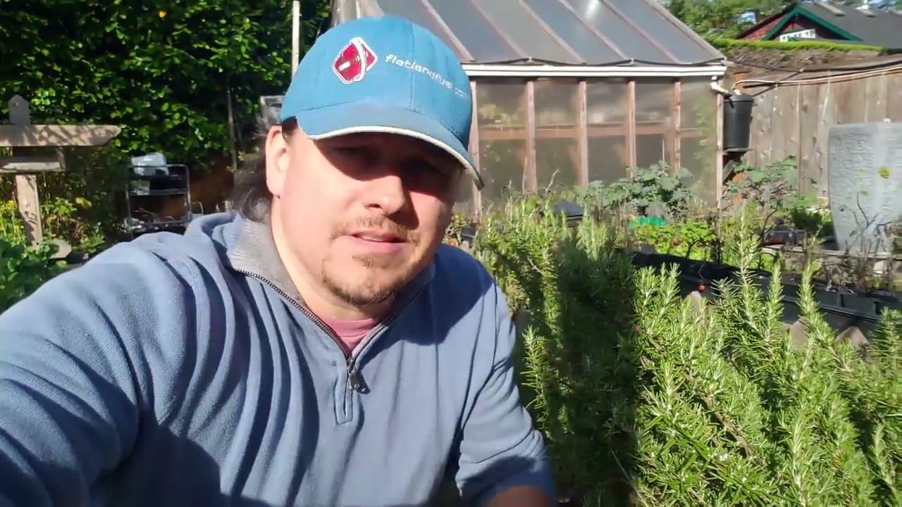 Step 1: Step 1: Harvest 8-Inch Sprigs
