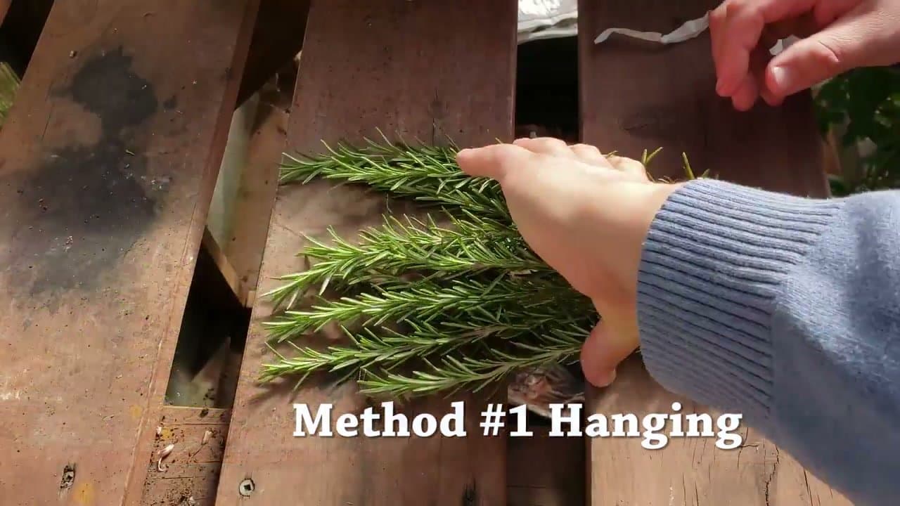 Step 2: Step 2: Method 1 - Hang Dry