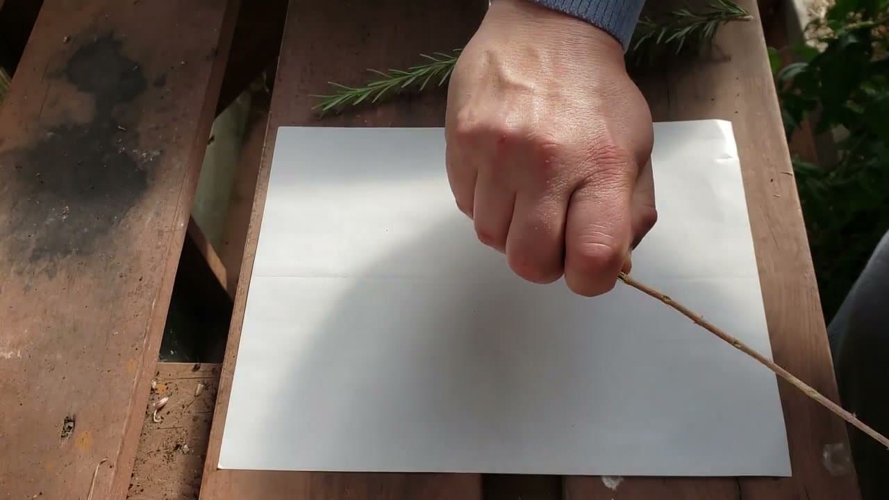 Step 3: Step 3: Method 2 - Plate on a Sunny Windowsill